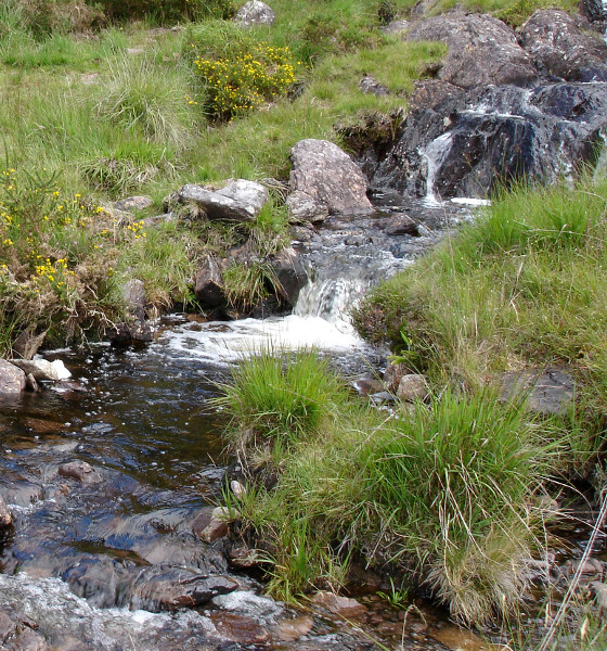 Natürliches Wasser